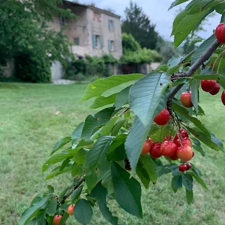 Mas Provencal Avec Piscine Pour En Famille Ou Amis Bras-d'Asse