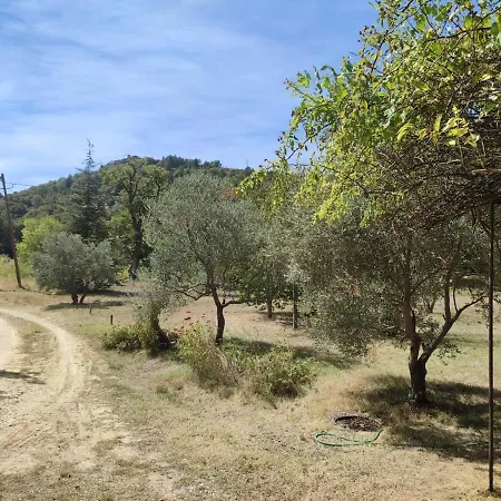 Mas Provencal Avec Piscine Pour En Famille Ou Amis Bras-d'Asse